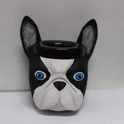 109448028_863938000759854_863474718844110961_n.jpg Archivo STL gratis Mate Buldog Frances・Objeto imprimible en 3D para descargar