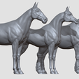 02.png Three Horse Breeds