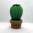KEC-3.jpeg Вязаный глазчатый кактус