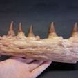 20200325_174800_HDR.jpg STL file Mosasaur Jaw・3D printable model to download