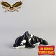 3.jpg FLEXI BABY ORCA / KILLER WHALE |  PRINT-IN-PLACE | NO-SUPPORT