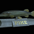 Pike-statue-16.png fish Northern pike / Esox lucius statue detailed texture for 3d printing