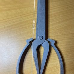 IMG_8537.jpg Scissor seven scissors