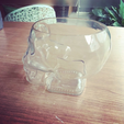 Capture d’écran 2017-11-14 à 16.56.21.png Crystal Skull Head Vodka Bottle