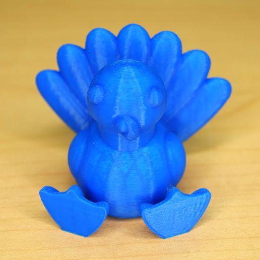 DSC_0236b.jpg Sit and Stand Turkey