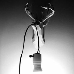 27893518_189894738275255_7134149624519983104_n.jpg Free STL file Deer head lamp holder. - Deer head lamp low poly・3D printer model to download