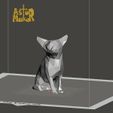 Untitled design (17).jpg chihuahua low poly