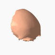 8.png FRONTAL BONE SEGMENTED 3D MODEL