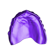 1415201873_20180318_2209_Rami ME6D7FA70019E9494E8CB45CD0B43E24DA 2.stl Full Dentures with Many Production Options