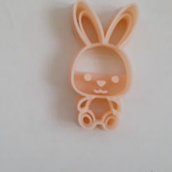 20230314_093248.jpg STL file Rabbit cutter・3D printer model to download