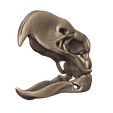 15.png Terror bird- birds terror skull in 3D