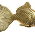 Golden-fish3.jpg Golden fish
