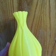 IMG_20180218_115151.jpg Sinew vase #1