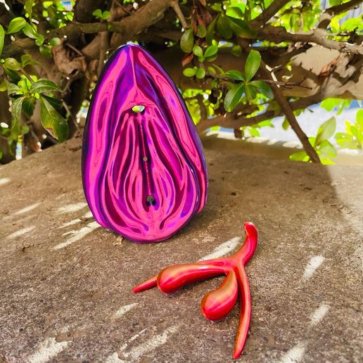 WhatsApp-Image-2023-08-25-at-19.15.41-3.jpeg Anatomical vagina, vulva and clitoris
