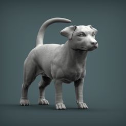 jack-russell-terrier-3d-model-37f001985a.jpg Файл 3D Jack Russell Terrier・3D-печатная модель для загрузки