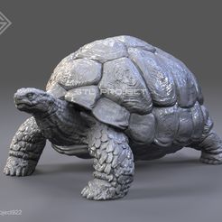 Turtle01.jpg 3D file Giant Turtle・3D printer model to download