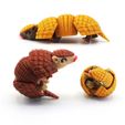 3-DSC02051.jpg Articulated Armadillo