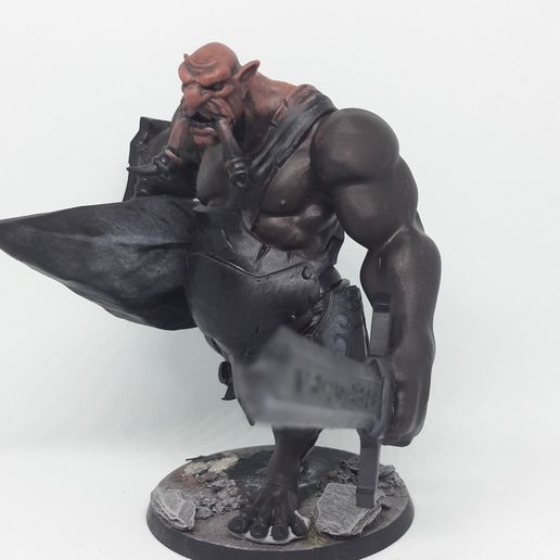 20250208_130620.jpg Stoneborn Warrior