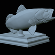 Bass-stocenej-26.png fish bass trophy statue detailed texture for 3d printing
