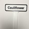 Cauliflower.jpg Plant Identification Stakes