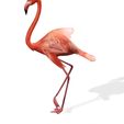 A5.jpg DOWNLOAD Flamingo 3D MODEL ANIMATED - BLENDER - 3DS MAX - CINEMA 4D - FBX - MAYA - UNITY - UNREAL - OBJ -  Flamingo DINOSAUR DINOSAUR Flamingo DINOSAUR BIRD