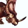 000.jpg DINOSAUR DOWNLOAD Styracosaurus 3D MODEL Styracosaurus RAPTOR ANIMATED - BLENDER - 3DS MAX - CINEMA 4D - FBX - MAYA - UNITY - UNREAL - OBJ - Styracosaurus DINOSAUR DINOSAUR DINOSAUR 3D DINOSAUR