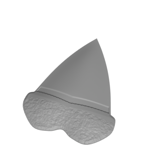 Giant Megalodon Tooth Replica - Upper Anterior Fossil