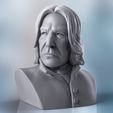snapebustorenderok.jpg Файл STL Северус Снейп Гарри Поттер・3D-печатная модель для загрузки