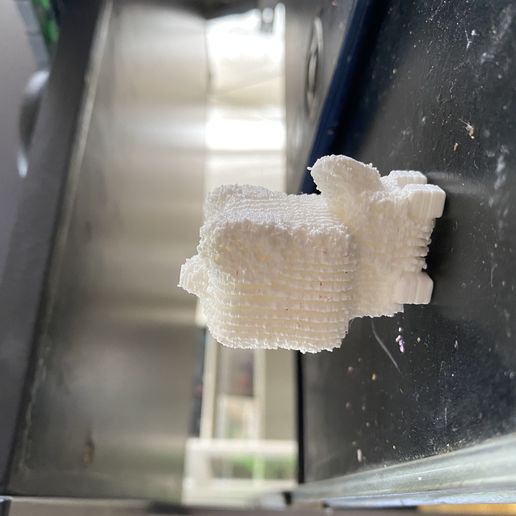 92BFA71E-1E92-4E40-B019-6E4DE864AD2D.jpeg test print cube dog, test print cube dog