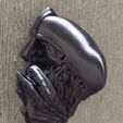 Xenomorph Bust Wall Mount