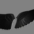 2.jpg Angel Wings