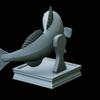 zander-trophy-41.png zander / pikeperch / Sander lucioperca fish in motion trophy statue detailed texture for 3d printing