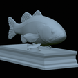 Bass-statue-26.png fish Largemouth Bass / Micropterus salmoides statue detailed texture for 3d printing