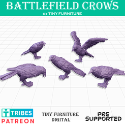 Crows_MMF.png Crows