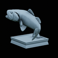Bass-trophy-38.png Largemouth Bass / Micropterus salmoides fish in motion trophy statue detailed texture for 3d printing