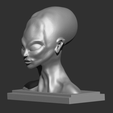 Cattura5.PNG Alien Bust Figurine Reproduction Alien found in the 50s in South America