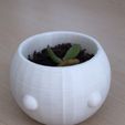 thumbnail_IMG_0156.jpg Vaso para plantas de cabeça