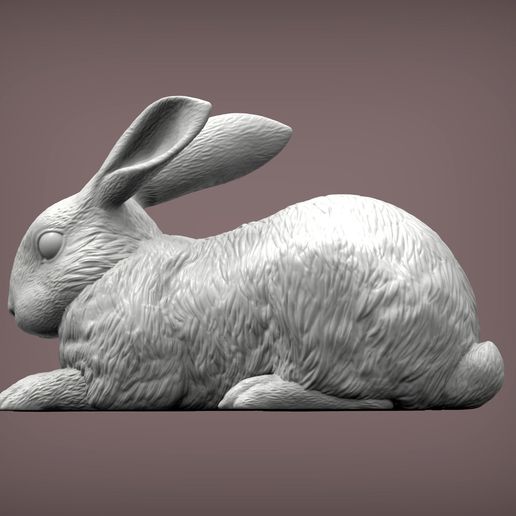rabbit2.jpg Archivo 3D Modelo de impresión 3D de un conejo・Modelo de impresora 3D para descargar, akuzmenko