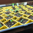 winstrip2.png 25-CELL AIR-PRUNING SEED STARTING TRAY — 1020 COMPATIBLE