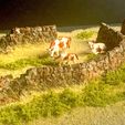 scenic-4.jpg Ultimate Dry Stone Wall modules for model railway, wargames