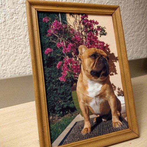 Photo frame