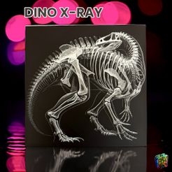 Dino-X-Ray_by-TheMazePrinter.jpg Dino X-Ray