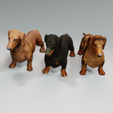 1.png DOG - DOWNLOAD Dachshund 3d model - Dog animated for blender-fbx-unity-maya-unreal-c4d-3ds max - 3D printing Dachshund DOG SAUSAGE - SAUSAGE PET CANINE WOLF