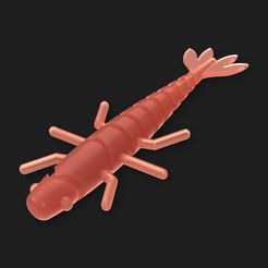 img_001.jpg STL file Drop Shot Shrimp (Mold+Master)・3D print design to download