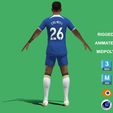 Colwill_5.jpg 3D Rigged Levi Colwill Chelsea 2024