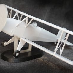 DSC03392.jpg STL file Bi plane, Bucker Bu-131 Jungmann・3D print design to download
