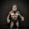 IMG_20221117_112800.jpg King Kong (1976)