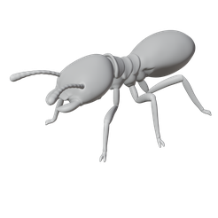 Termite-2.png Termite 2 Insect