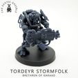 Pose-3-Front.png 3D-Datei Sturmvolk von Tordeyr・Modell für 3D-Drucker zum Herunterladen