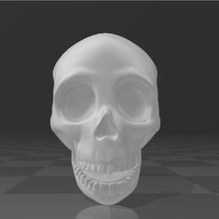 Craneo-1.jpg Download file Cranium • 3D printable design, gabozump1987